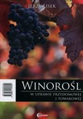 Pokaż szczegóły dla Winorośl w uprawie przydomowej i towarowej Polska książka : Winorośl w... - Jerzy Lisek