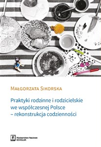 Obrazek Praktyki rodzinne i rodzicielskie we współczesnej Polsce - rekonstrukcja codzienności