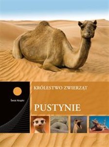 Bild von Pustynie