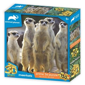 Bild von Puzzle Prime 3D 150