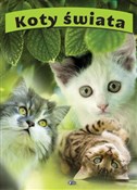 Zeige Details für Koty świata Polnische buch : Koty świat... - Opracowanie Zbiorowe