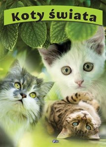 Bild von Koty świata