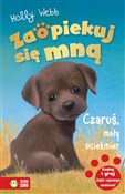 Polska książka : Czaruś, ma... - Holly Webb