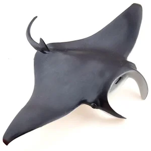 Bild von Manta