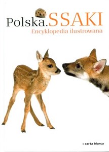 Bild von Polska Ssaki Encyklopedia ilustrowana