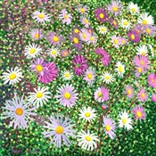 Polska książka : Karnet z k...