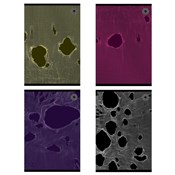 Zeszyt A5/... - buch auf polnisch 