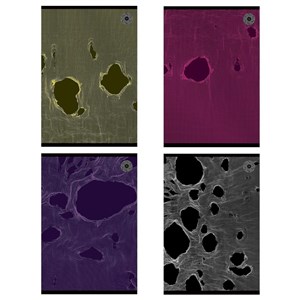 Bild von Zeszyt A5/80K kratka Tear (5szt)