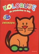 Koloruję n... - Patrycja Gazda -  polnische Bücher