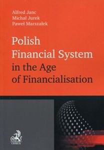 Bild von Polish Financial System in the Age of Financialisation