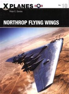 Bild von Northrop Flying Wings