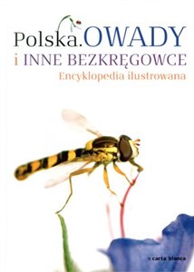 Bild von Polska Owady i inne bezkręgowce Encyklopedia ilustrowana