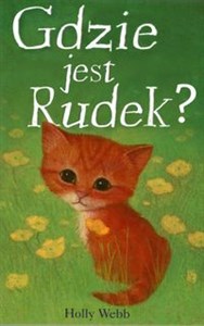 Obrazek Gdzie jest Rudek?