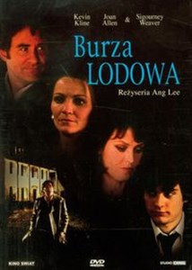 Bild von Burza lodowa