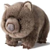 Wombat tor... -  polnische Bücher