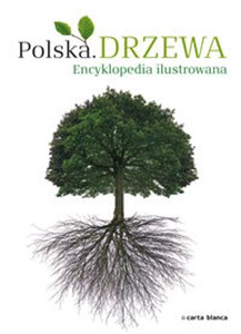 Obrazek Polska Drzewa Encyklopedia ilustrowana
