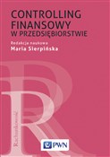 Książka : Controllin... - Maria Sierpińska, Agata Sierpińska-Sawicz, Ryszard Węgrzyn