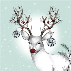 Bild von Karnet Swarovski KW BN Biały renifer