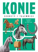 Konie - Anna Willman - Ksiegarnia w niemczech