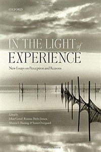 Bild von In the Light of Experience: New Essays on Perception and Reasons (Mind Association Occasional Series)