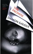 Polnische buch : The Promis... - Damon Galgut