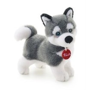 Bild von Plusz Husky S