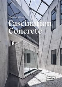 Obrazek Fascination Concrete