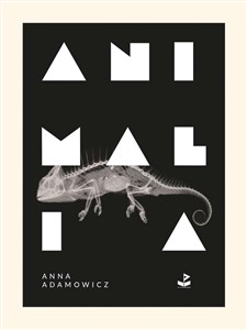 Bild von Animalia