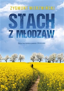 Bild von Stach z Młodzaw