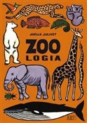 Zoologia - Joelle Jolivet -  polnische Bücher