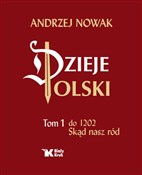 Polnische buch : Dzieje Pol... - Andrzej Nowak