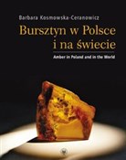 Polnische buch : Bursztyn w... - Barbara Kosmowska-Ceranowicz