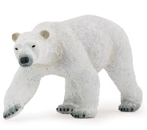 Bild von Niedźwiedź polarny