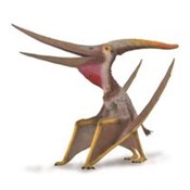 Polnische buch : Pteranodon...