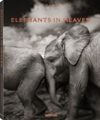 Polnische buch : Elephants ... - Joachim Schmeisser
