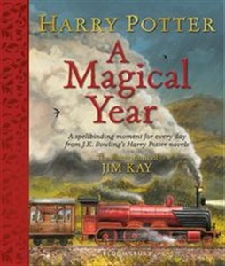 Bild von Harry Potter A Magical Year