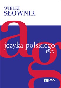 Bild von Wielki słownik języka polskiego Tom 1 A-G