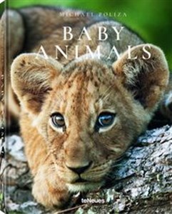 Bild von Baby Animals