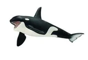 Polnische buch : Orka