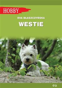 Bild von Westie West highland white terrier