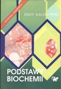 Polska książka : Podstawy b... - Jerzy Kączkowski