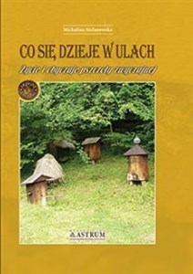 Obrazek Co się dzieje w ulach Życie i obyczaje pszczoły zwyczajnej