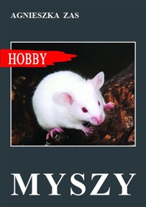 Obrazek Myszy