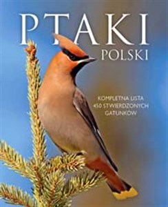 Bild von Ptaki Polski
