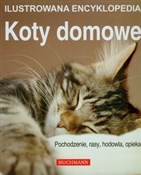 Polnische buch : Koty domow... - Catherine Davidson