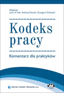 Obrazek Kodeks pracy. Komentarz dla praktyków