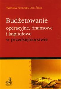 Obrazek Budżetowanie operacyjne finansowe i kapitałowe w przedsiębiorstwie