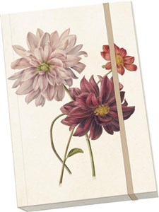 Obrazek Notatnik ozdobny A5 STNOTE 91 Dalie