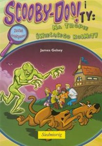 Obrazek Scooby Doo i Ty Na tropie świecącego kosmity