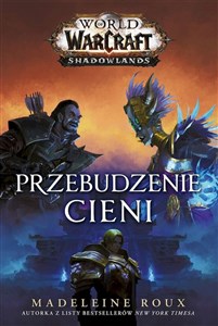 Bild von World of Warcraft Przebudzenie cieni